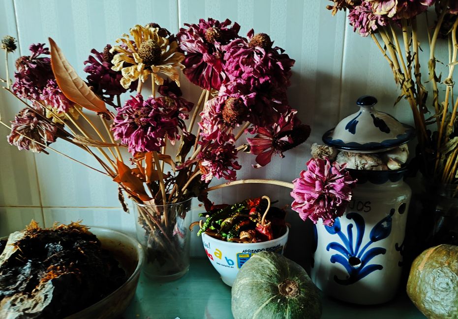 Fleurs fraîches : quelles variétés tiennent le plus en vase ?