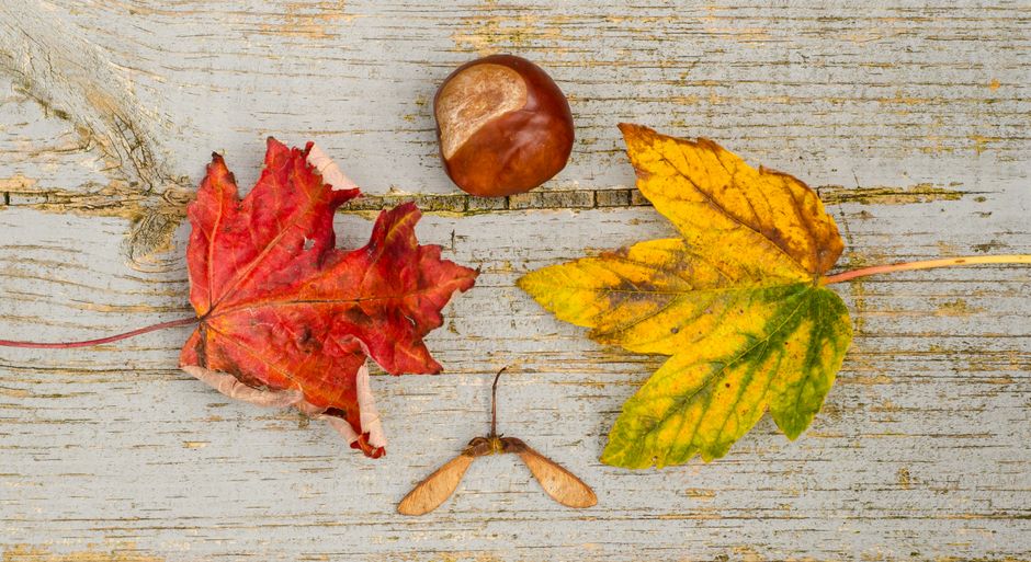 Une déco de table de saison : printemps, été, automne, hiver