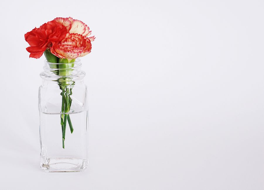 Vases et contenants : alternatives simples au vase classique