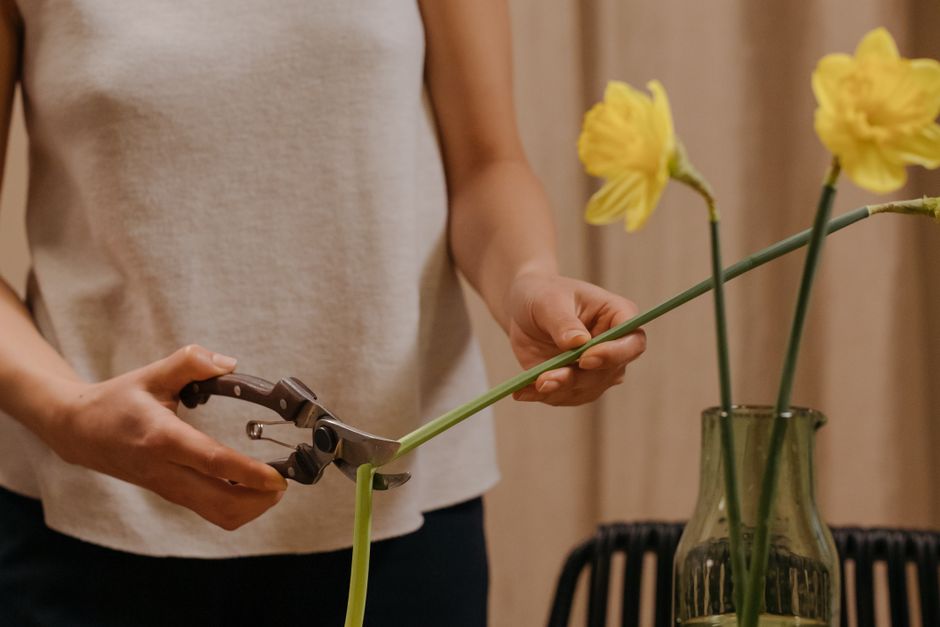 Entretenir un bouquet : astuces pour le garder plus longtemps