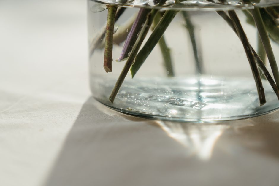 Vases et contenants : alternatives simples au vase classique